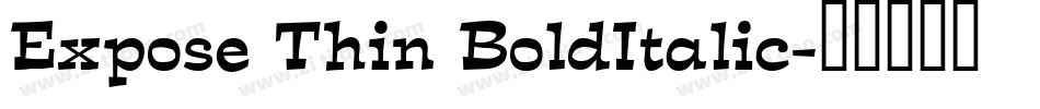 Expose Thin BoldItalic字体转换